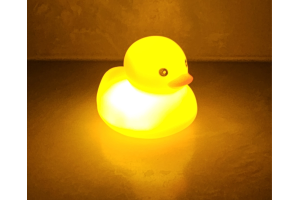 Led Ducks (2) 