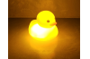 Led Ducks (2) 