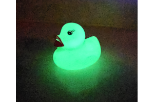 Glow and Led Ducks (1 each) 